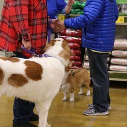 photograph by PeterW